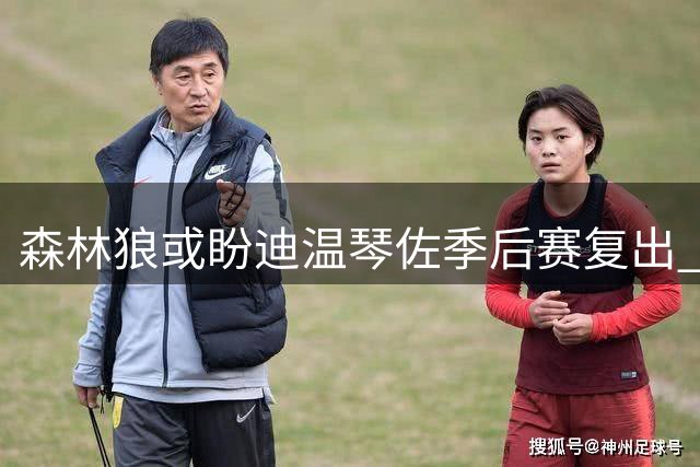 森林狼或盼迪温琴佐季后赛复出 交易传闻遭否认